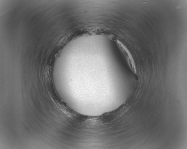 X0000077990280200611251419