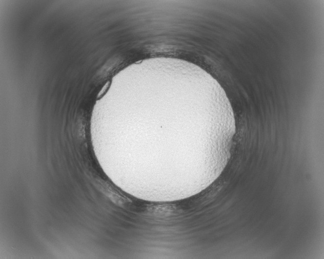 X0000077990282200611251419