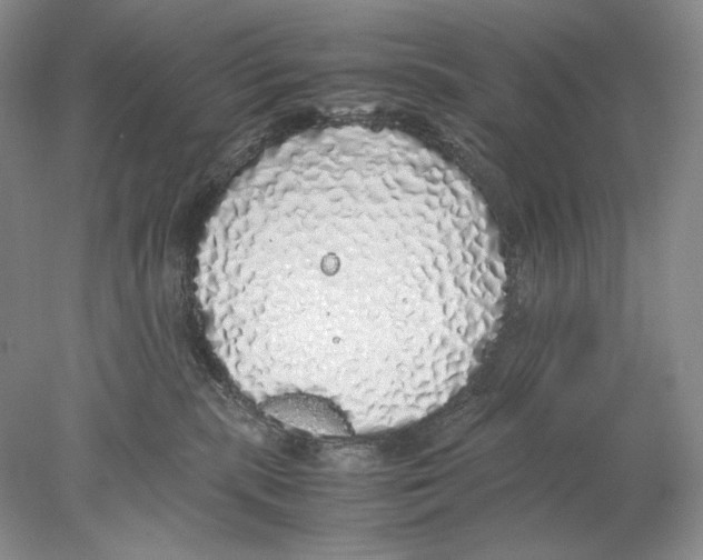 X0000077990283200611251419