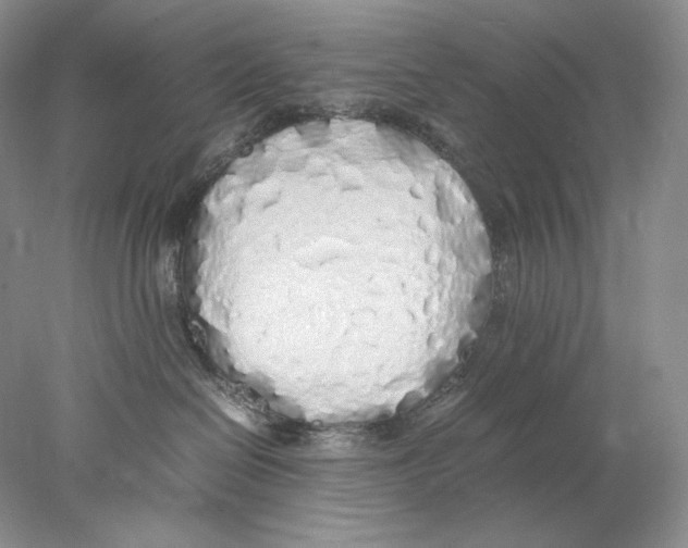 X0000077990286200611251419