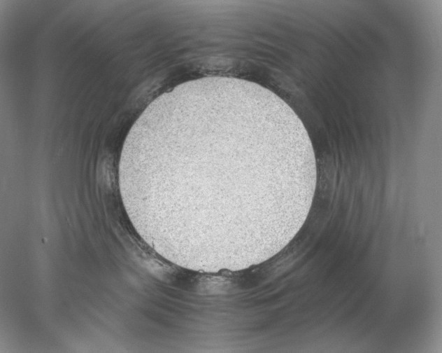 X0000077990287200611251419
