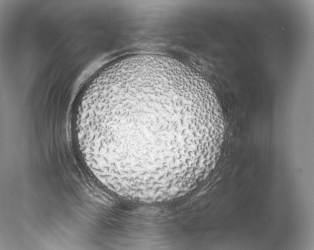 X0000077990294200611251418