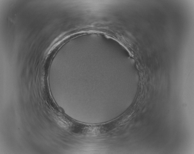 X0000077990295200611251418