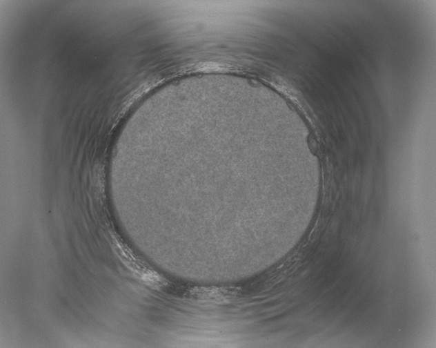 X0000077990297200611251418