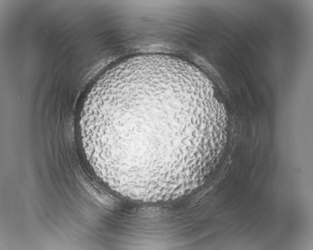 X0000077990298200611251418