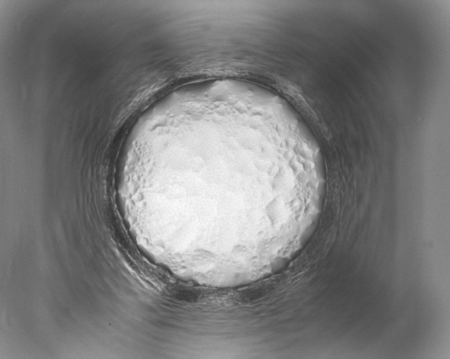 X0000077990299200611251418