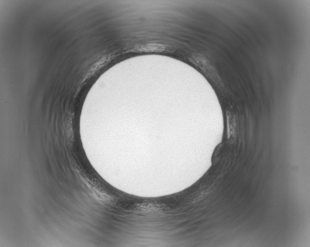 X0000077990300200611251418