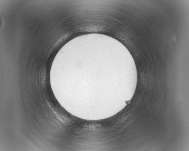 X0000077990304200611251418