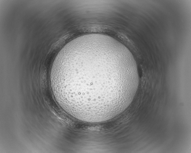 X0000077990306200611251418