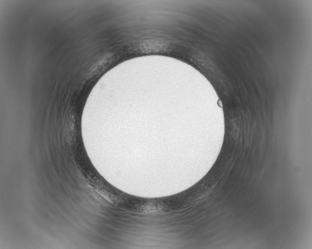 X0000077990308200611251418