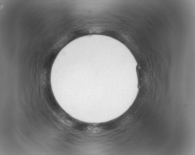 X0000077990311200611251418