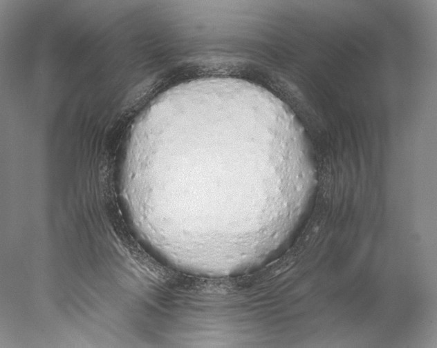 X0000077990314200611251418
