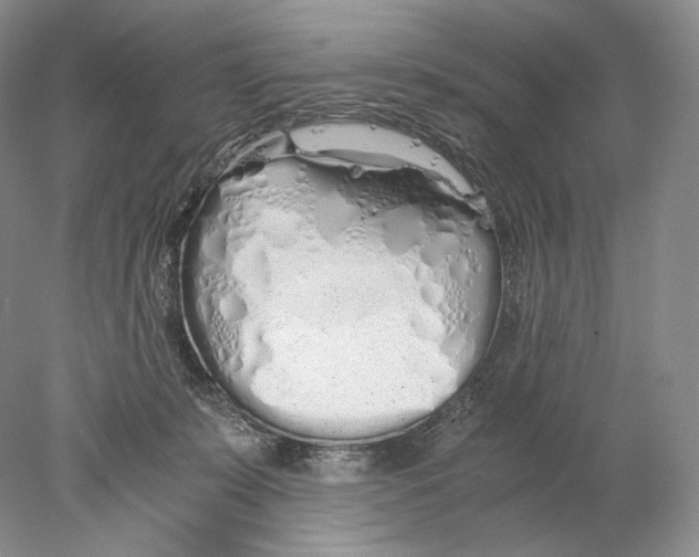 X0000077990319200611251418