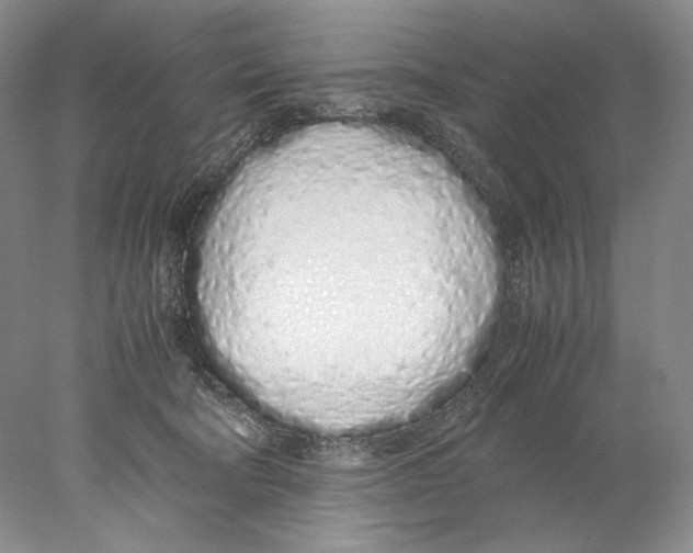 X0000077990322200611251418