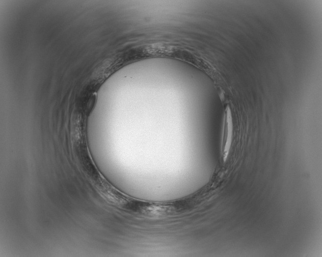 X0000077990323200611251418