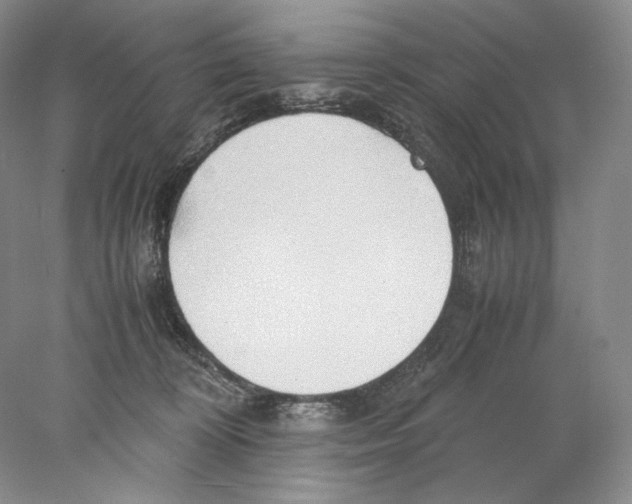 X0000077990324200611251418