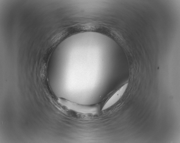 X0000077990325200611251418