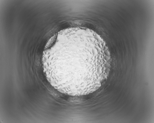 X0000077990331200611251418