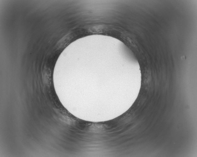 X0000077990332200611251418