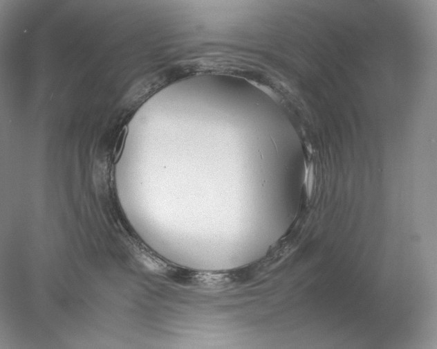 X0000077990333200611251418