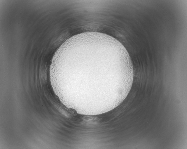 X0000077990334200611251418