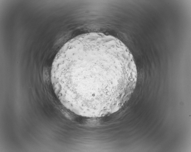 X0000077990335200611251418