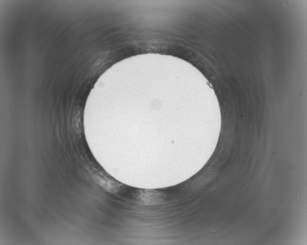 X0000077990336200611251418
