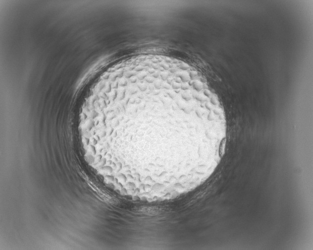 X0000077990341200611251417