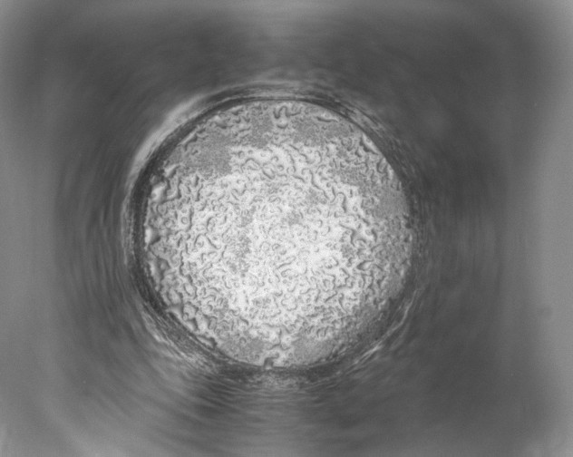 X0000077990343200611251417
