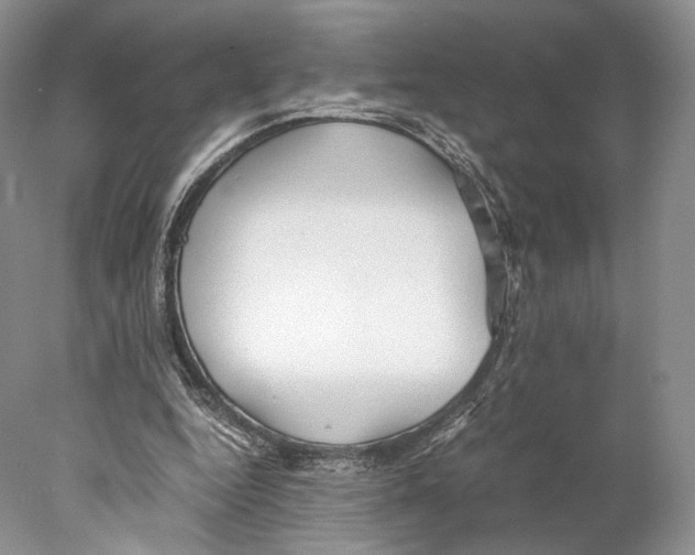 X0000077990344200611251417