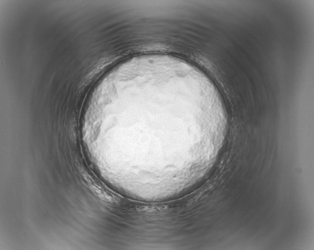 X0000077990345200611251417