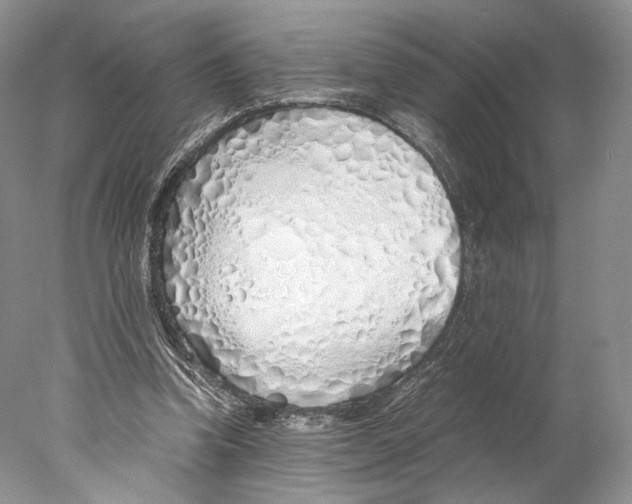 X0000077990346200611251417