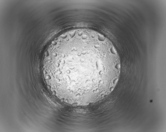 X0000077990347200611251417