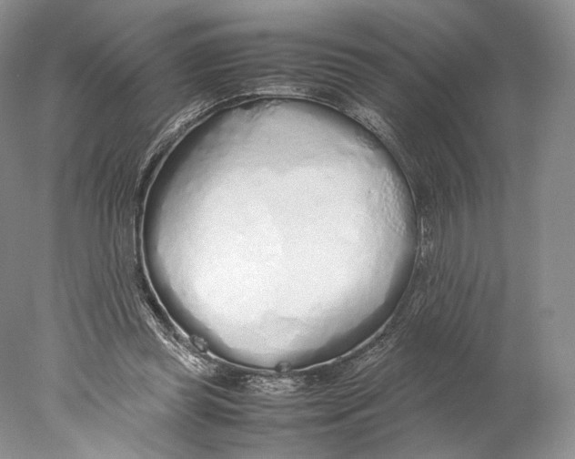 X0000077990349200611251417