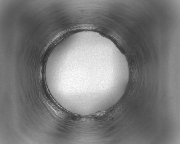 X0000077990350200611251417