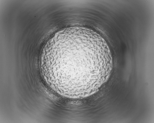 X0000077990353200611251417