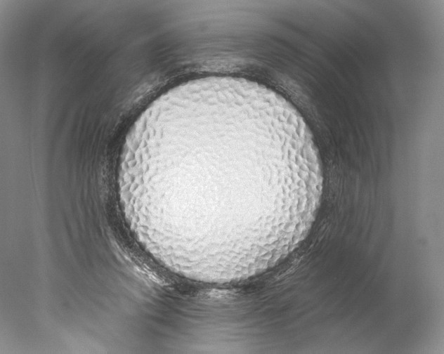 X0000077990354200611251417