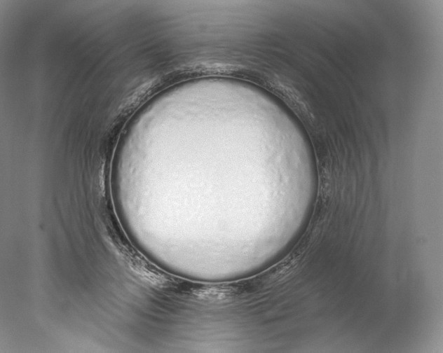X0000077990358200611251417
