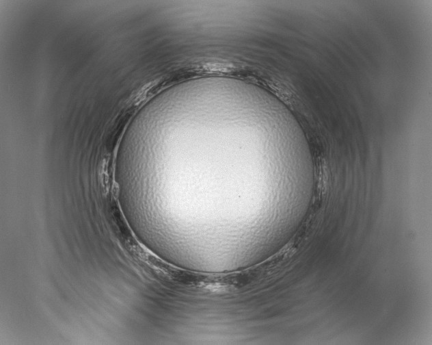 X0000077990360200611251417