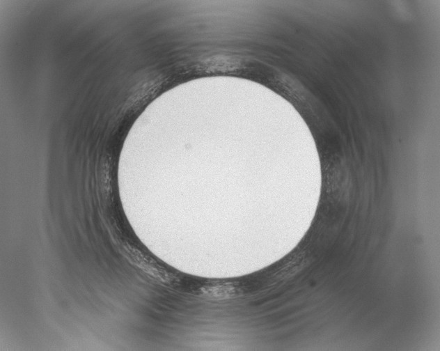 X0000077990362200611251417