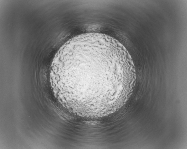 X0000077990363200611251417