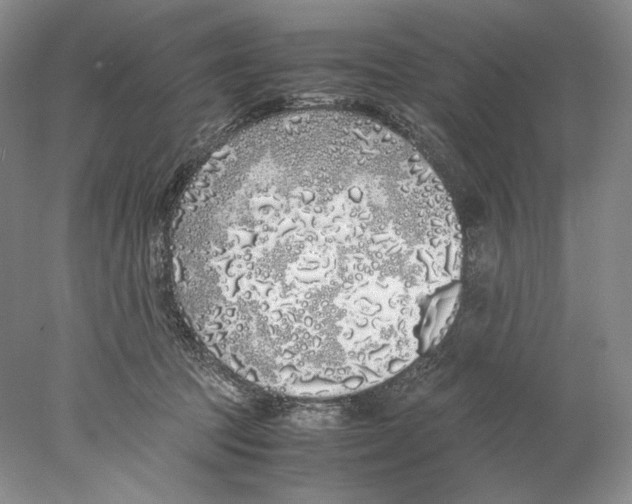 X0000077990369200611251417