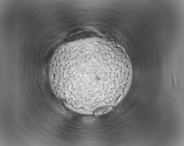 X0000077990373200611251417