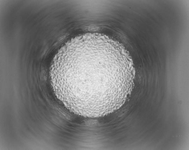 X0000077990374200611251417