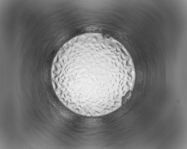 X0000077990375200611251417