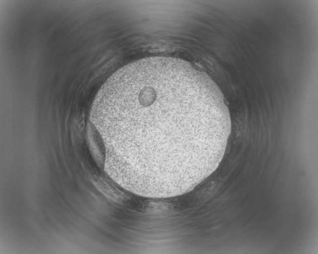 X0000077990376200611251417