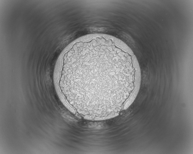 X0000077990377200611251417