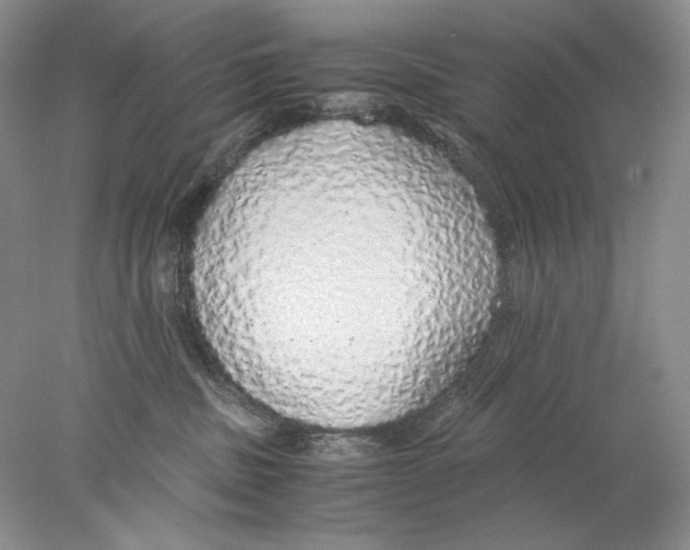X0000077990379200611251418