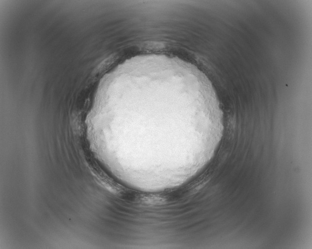 X0000077990383200611251418