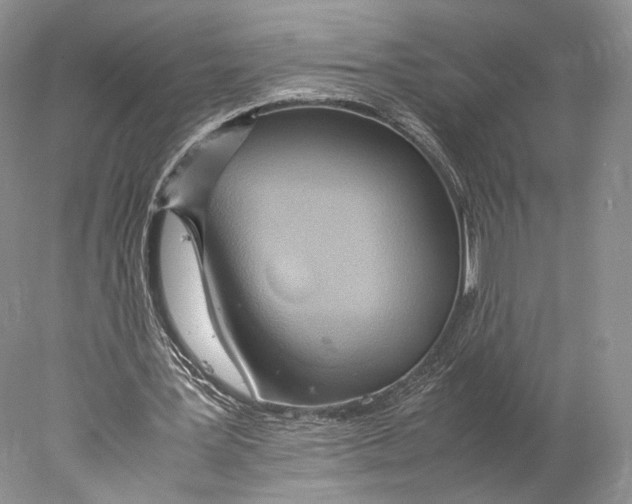 X0000077990387200611251417